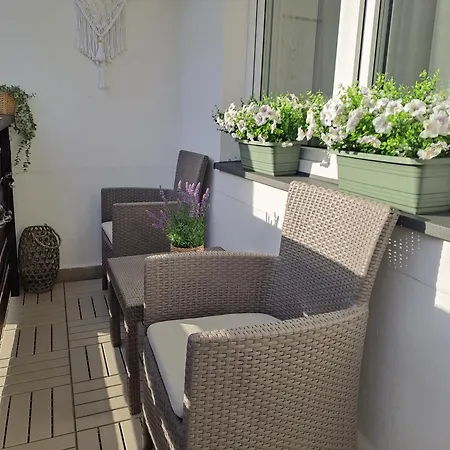 Oliwkowy Apartamento *