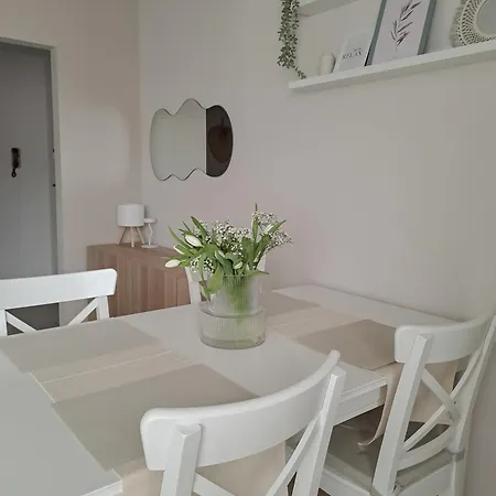 Oliwkowy Apartment